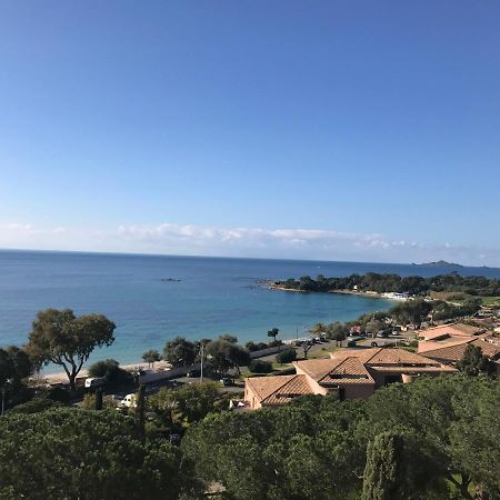 Superbe appartement T2 Vue magnifique Sanguinaires à 50m de la plage Ajaccio  Esterno foto